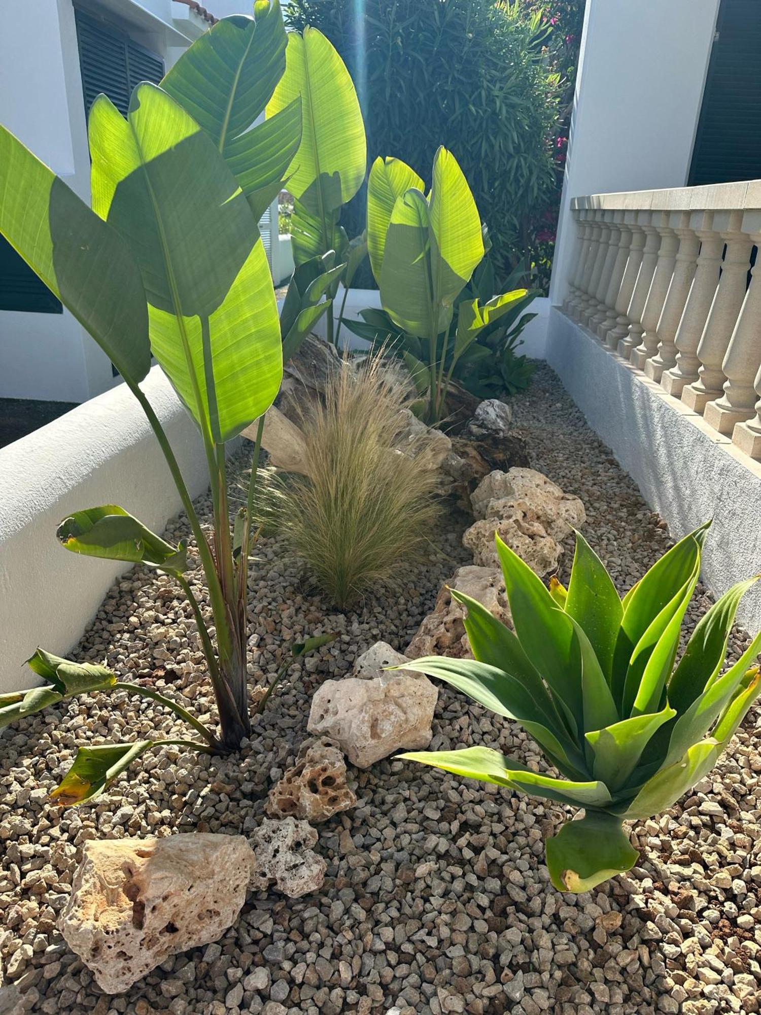 Villa Diplomado Es Mercadal Dış mekan fotoğraf